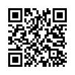 QR Code (код быстрого отклика)