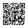 QR Code (код быстрого отклика)