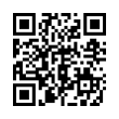 QR Code (код быстрого отклика)