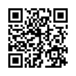 QR Code (код быстрого отклика)