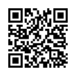 QR Code (код быстрого отклика)