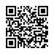 QR Code (код быстрого отклика)