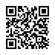 QR Code (код быстрого отклика)