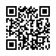 QR Code (код быстрого отклика)