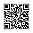 QR Code (код быстрого отклика)