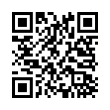 QR Code (код быстрого отклика)