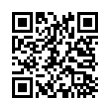 QR Code (код быстрого отклика)