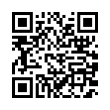 QR Code (код быстрого отклика)