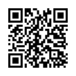 QR Code (код быстрого отклика)