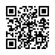 QR Code (код быстрого отклика)