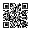 QR Code (код быстрого отклика)