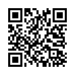 QR Code (код быстрого отклика)