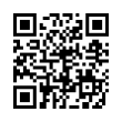 QR Code (код быстрого отклика)