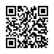 QR Code (код быстрого отклика)