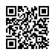 QR Code (код быстрого отклика)