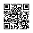 QR Code (код быстрого отклика)