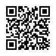 QR Code (код быстрого отклика)