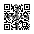 QR Code (код быстрого отклика)