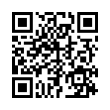 QR Code (код быстрого отклика)