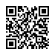 QR Code (код быстрого отклика)