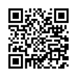 QR Code (код быстрого отклика)