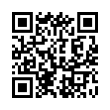 QR Code (код быстрого отклика)