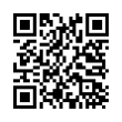 QR Code (код быстрого отклика)