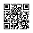 QR Code (код быстрого отклика)