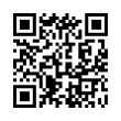 QR Code (код быстрого отклика)