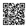 QR Code (код быстрого отклика)