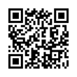 QR Code (код быстрого отклика)