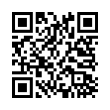 QR Code (код быстрого отклика)