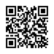 QR Code (код быстрого отклика)