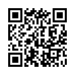 QR Code (код быстрого отклика)