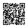 QR Code (код быстрого отклика)