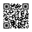 QR Code (код быстрого отклика)