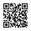 QR Code (код быстрого отклика)