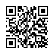 QR Code (код быстрого отклика)