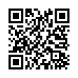 QR Code (код быстрого отклика)