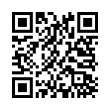 QR Code (код быстрого отклика)