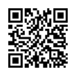 QR Code (код быстрого отклика)