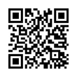 QR Code (код быстрого отклика)