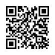 QR Code (код быстрого отклика)