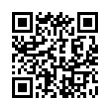 QR Code (код быстрого отклика)