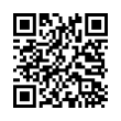 QR Code (код быстрого отклика)