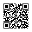 QR Code (код быстрого отклика)