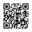 QR Code (код быстрого отклика)