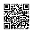 QR Code (код быстрого отклика)