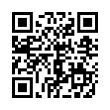 QR Code (код быстрого отклика)