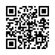 QR Code (код быстрого отклика)